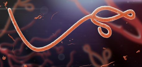 Ebola