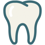 Toothbrush Bacteria